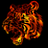 Tiger48